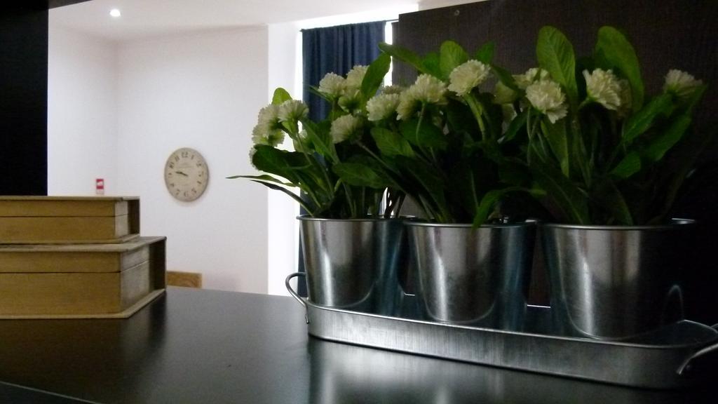 Watching Azores Apartment Ponta Delgada 외부 사진